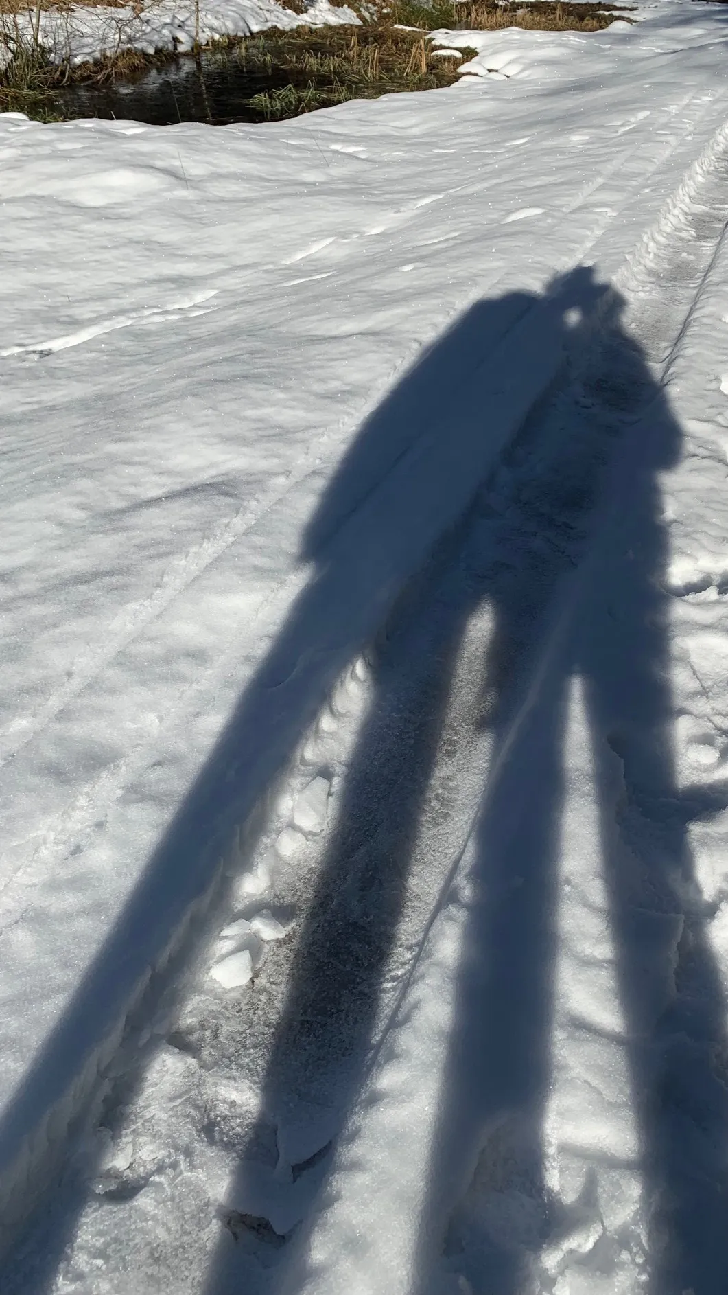 Liebesbeziehung & Businesspartnerschaften